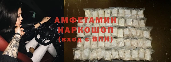 прущие грибы Иннополис