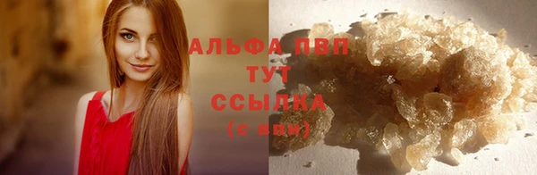 амф Инсар