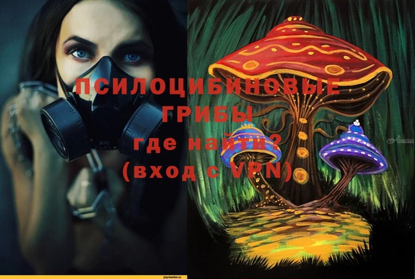 амф Инсар