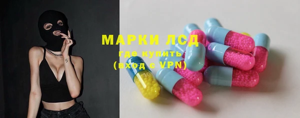 прущие грибы Иннополис