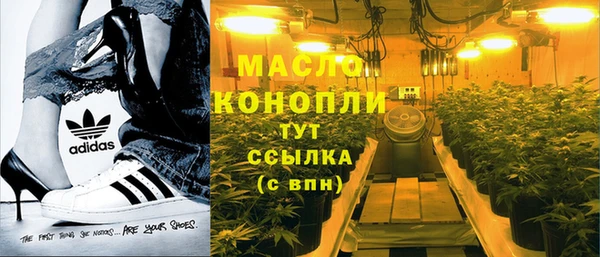 прущие грибы Иннополис