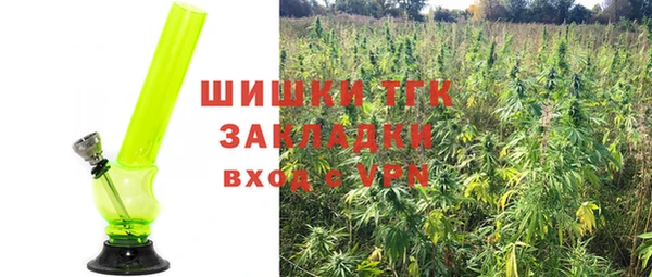 прущие грибы Иннополис