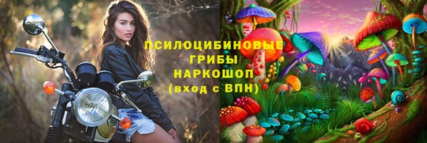 каннабис Инта