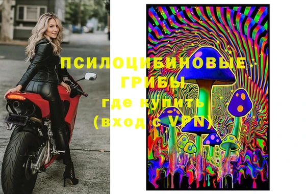 каннабис Инта