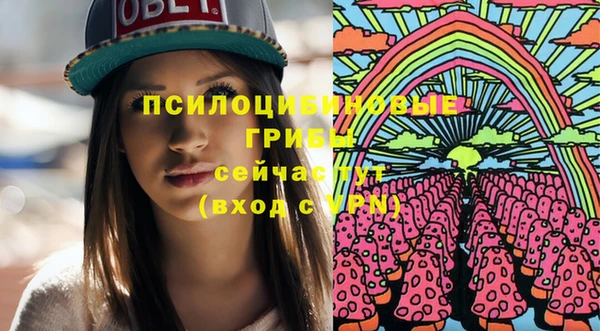 прущие грибы Иннополис
