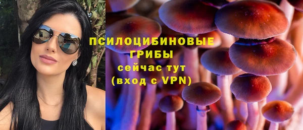 амф Инсар