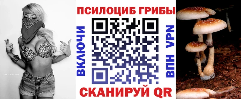 Галлюциногенные грибы Psilocybe  Купить  Дубна 